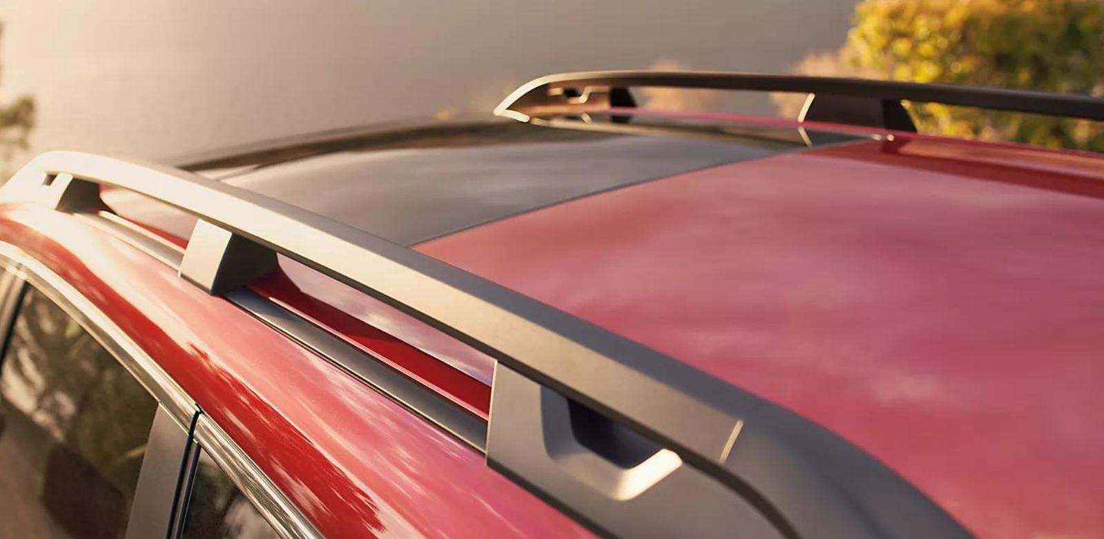 FOTO_2_COMPONENTE_5_1700X830_3